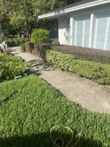 Landscaping Job by XD Land Service