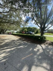 Landscaping Job by XD Land Service