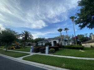 Tree service project