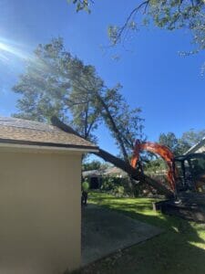 emergency tree removal