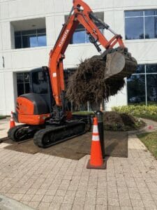 Commercial landscaping project