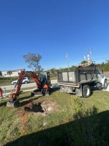 Landscaping and stump removal project