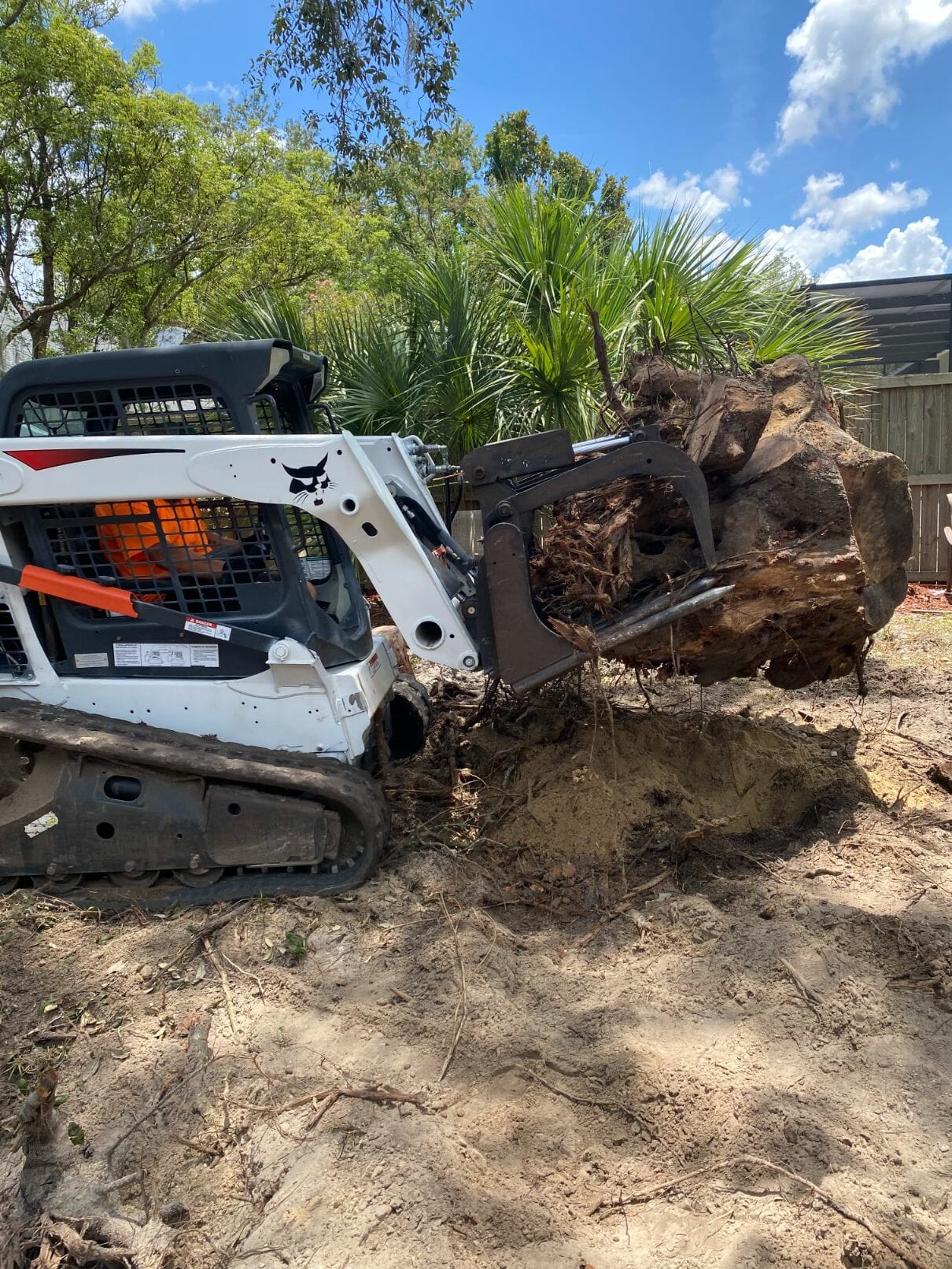 Large Tree Stump Removal in Longwood FL