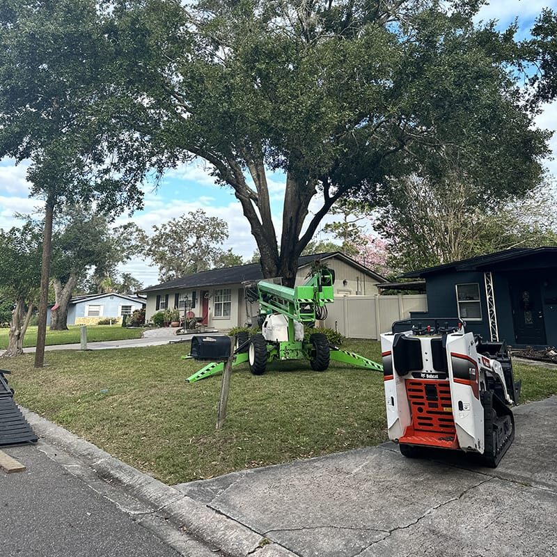 setup of equipment used to safely cut down a tree